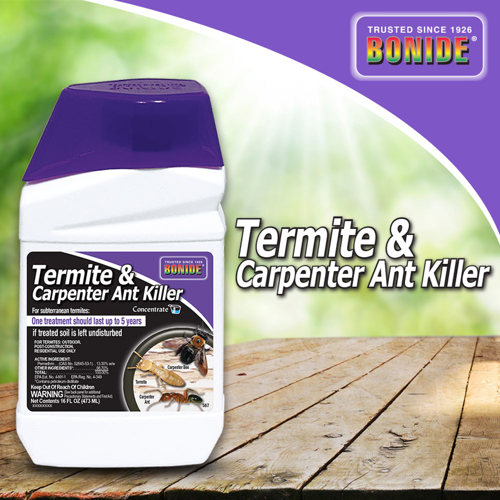 Termite & Carpenter Ant Killer Concentrate (Pint) | Park Supply Company